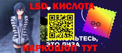 гидра Будённовск