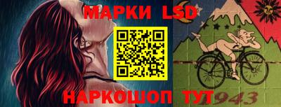гидра Будённовск