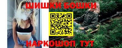 гидра Будённовск