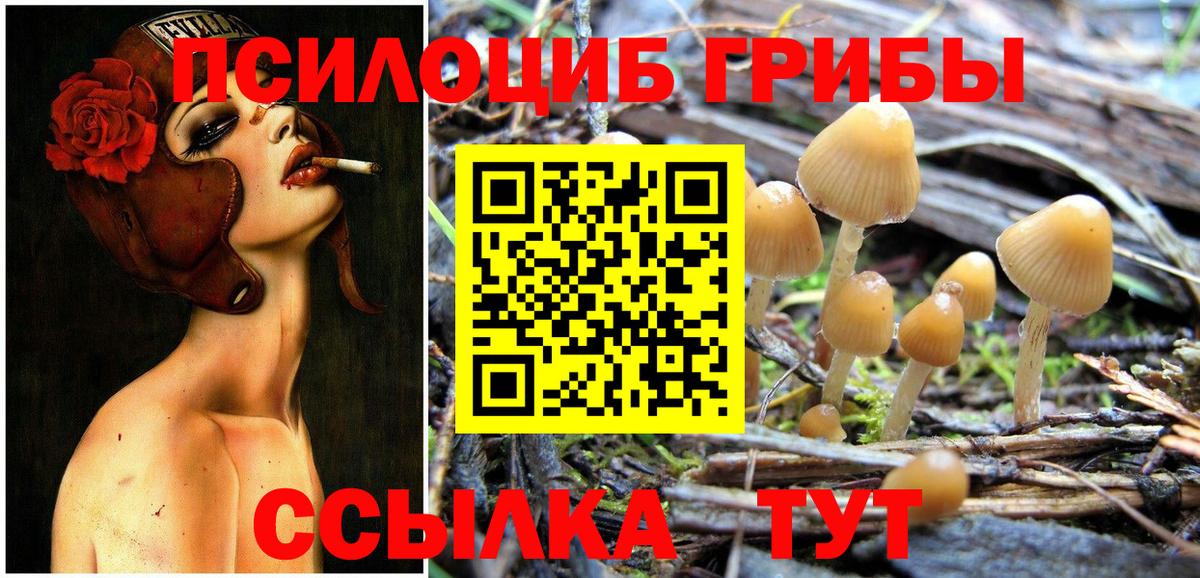 Галлюциногенные грибы MAGIC MUSHROOMS  Вход с VPN  продажа наркотиков  Псилоцибиновые грибы Psilocybine cubensis  Реж 